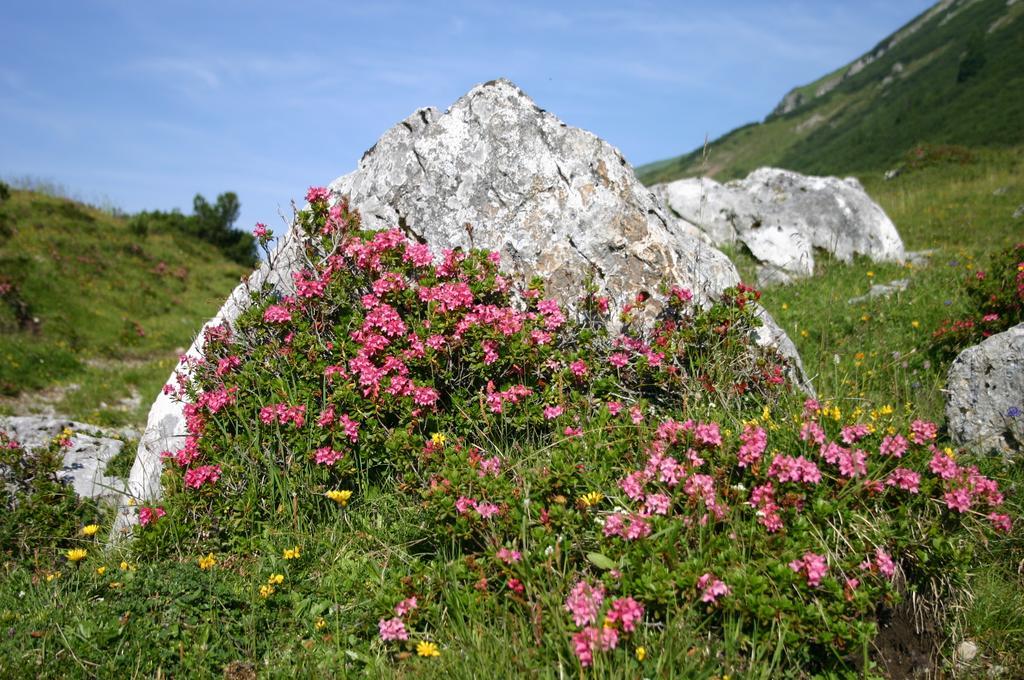 Gasthof "Zur Gemuetlichkeit" Bschlabs Exterior foto